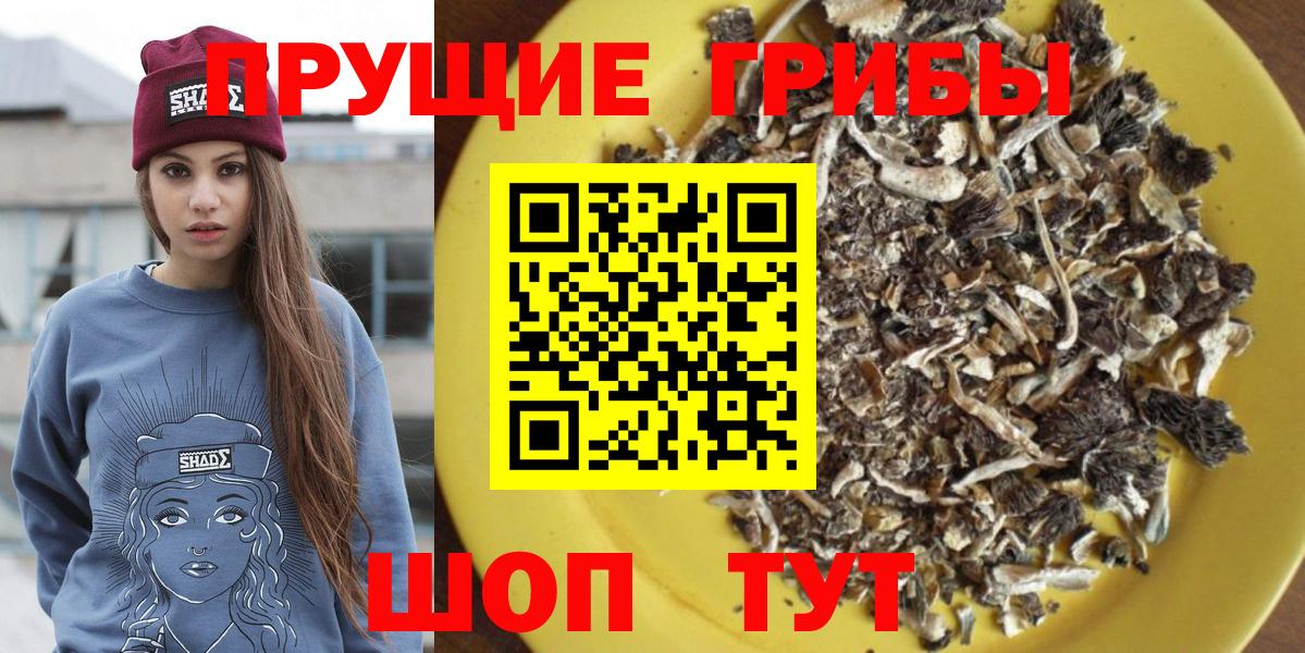 Псилоцибиновые грибы прущие грибы Острогожск