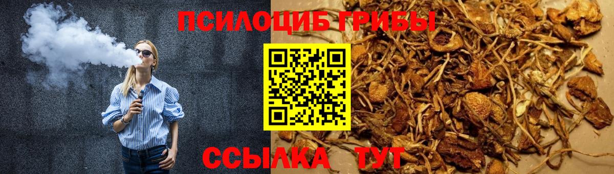 Острогожск  Псилоцибиновые грибы Magic Shrooms  Вход с VPN  Псилоцибиновые грибы Psilocybe 