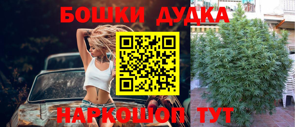 Шишки марихуана план Острогожск